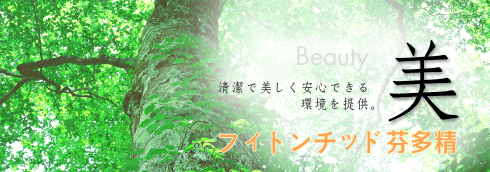 甲醛治理